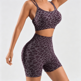Women's Leopard Print Workout Sets 2 Piece Outfits Crop Tank Tops and Shorts Sports Yoga Gym Tracksuit (Color: Wine Red, size: L)
